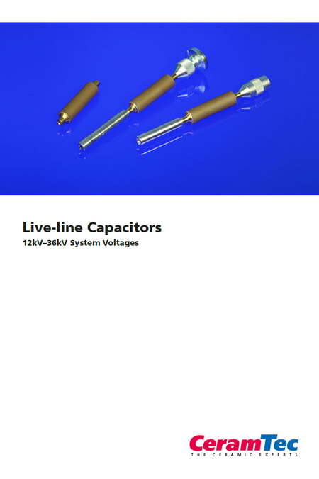 Cover page of the Live Line Capacitor brochure