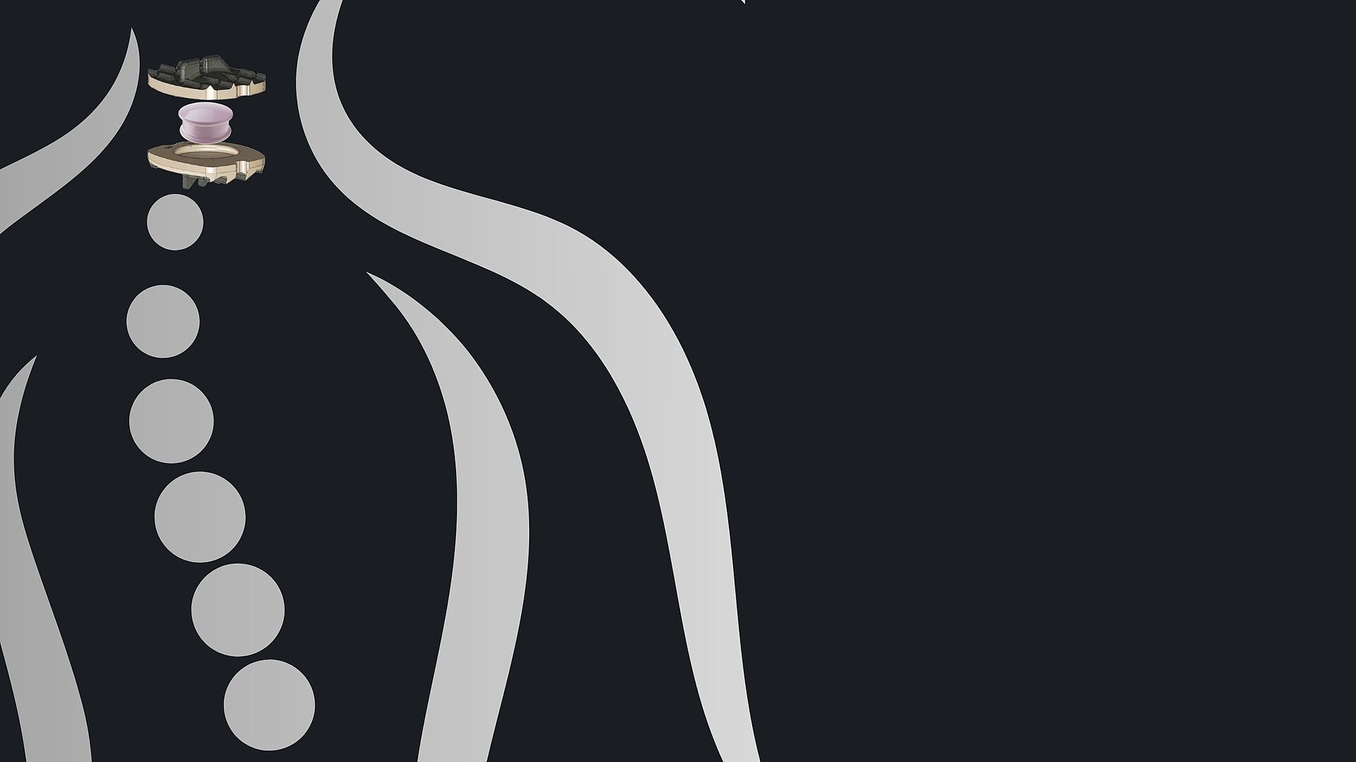 This abstract image features a stylized representation of a spine with curved white lines and circular shapes on a dark background. At the top is a BIOLOX® ceramic core for a cervical disc. 