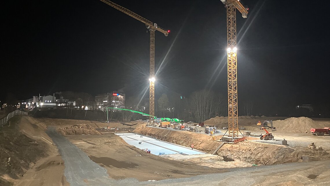 Two cranes shine in the night light